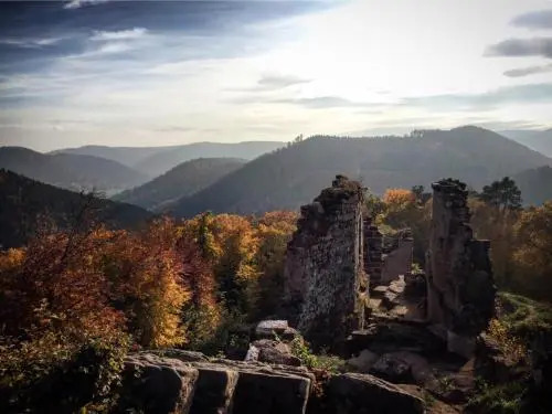 Meublés de Tourisme Heidelbeere
