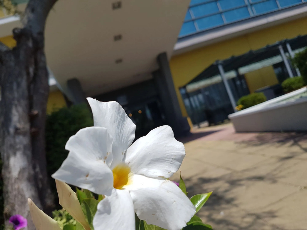 Best Western Hotel Class Lamezia