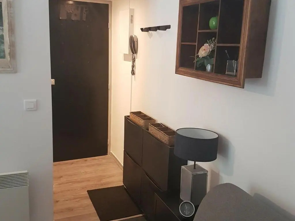 Appartement Chamonix-Mont-Blanc, 2 pièces, 4 personnes - FR-1-517-58