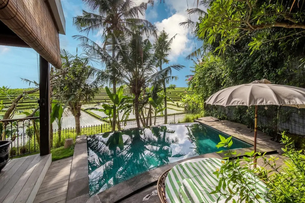 Tropical Private Villa, 3 BR, Canggu Ricefield View