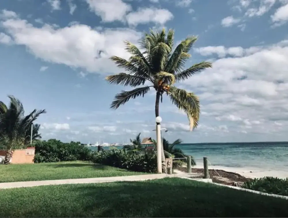 Flamingo Beach Plus