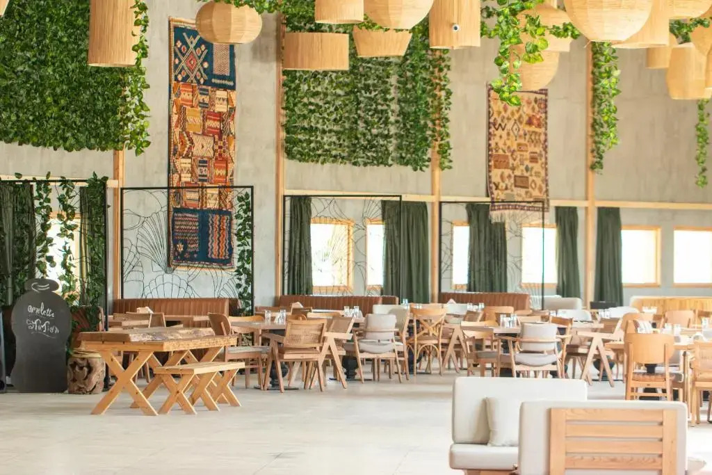 Oasis212 Dakhla