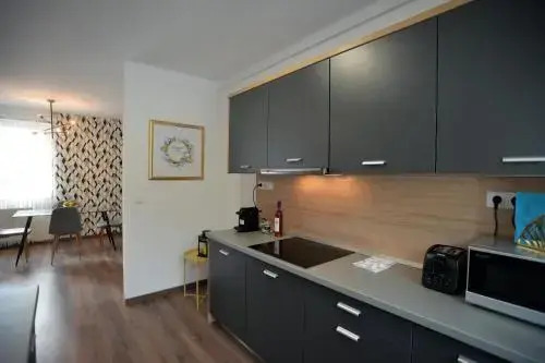 ONE Luxury Suites Eger