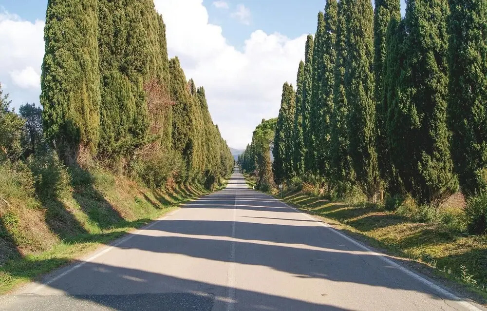L'incrociata