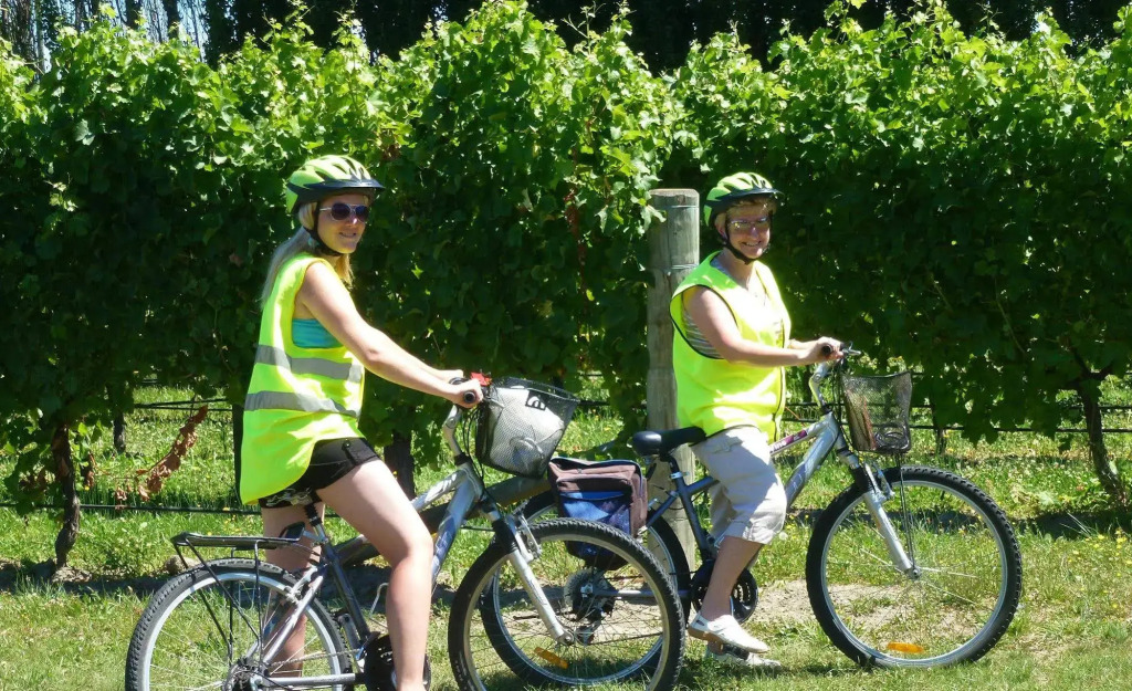 Olde Mill House B&B & Bike2Wine cycle hire