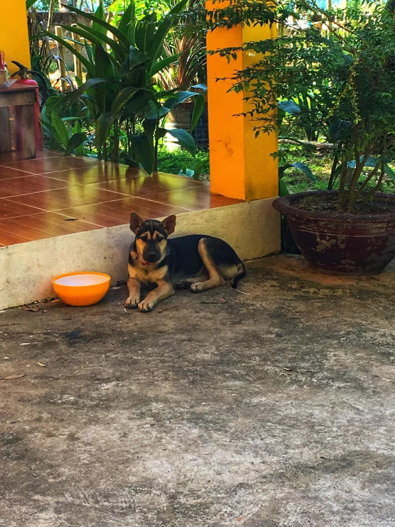 7 Stones Phu Quoc Guesthouse