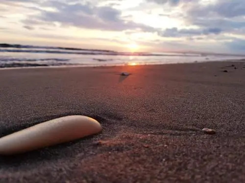 Periyiali Beach Sunset Suite A7