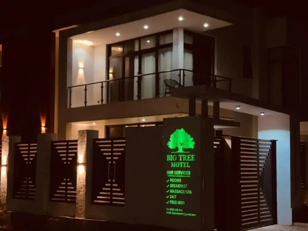 Big Tree Motel