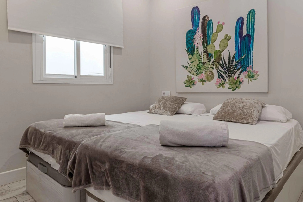 Apartamentos Recaredo 7, Áticos con terraza