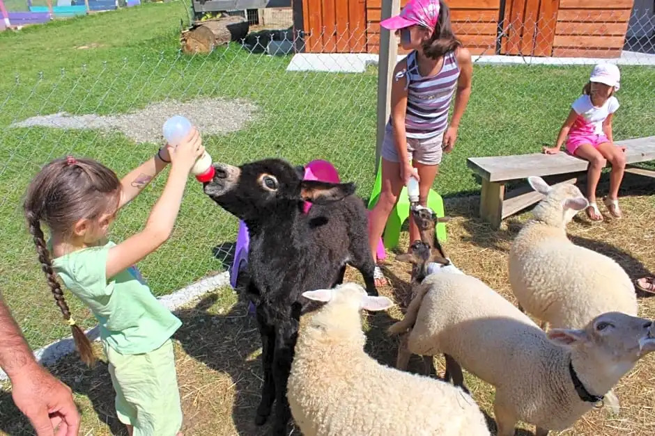 La petite ferme de Pouillon - Parc animalier - aire de loisirs