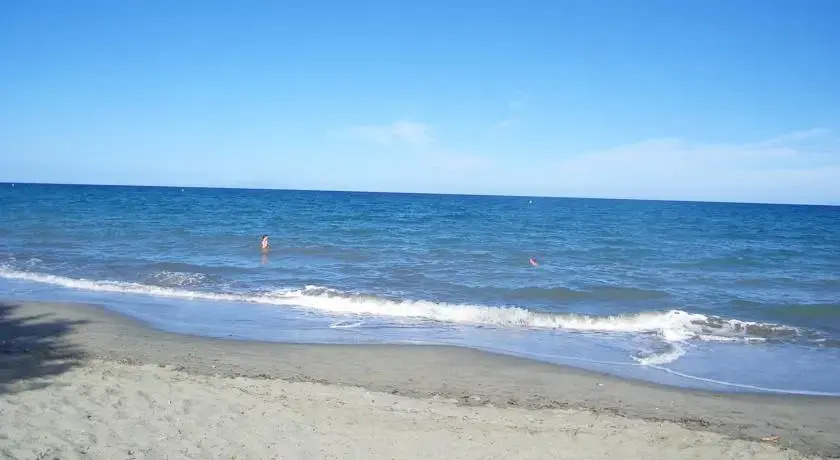 Le Figuier
