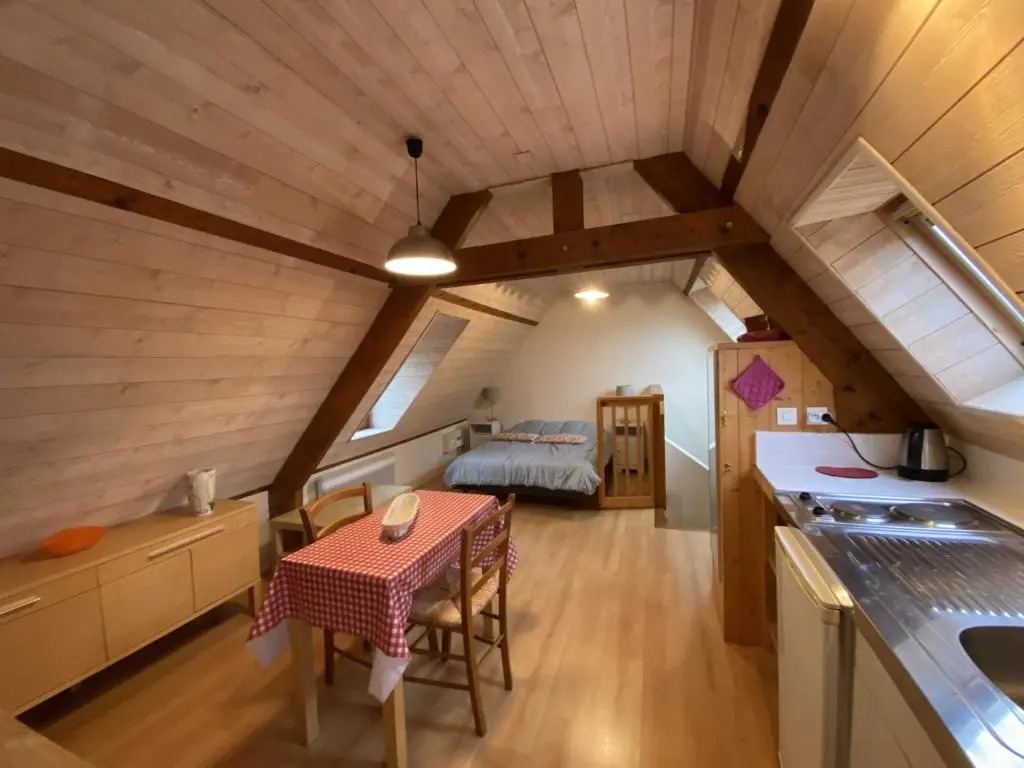 Appartement La Roche-Posay, 1 pièce, 2 personnes - FR-1-541-55