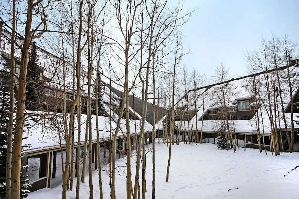 2092 The Pines
