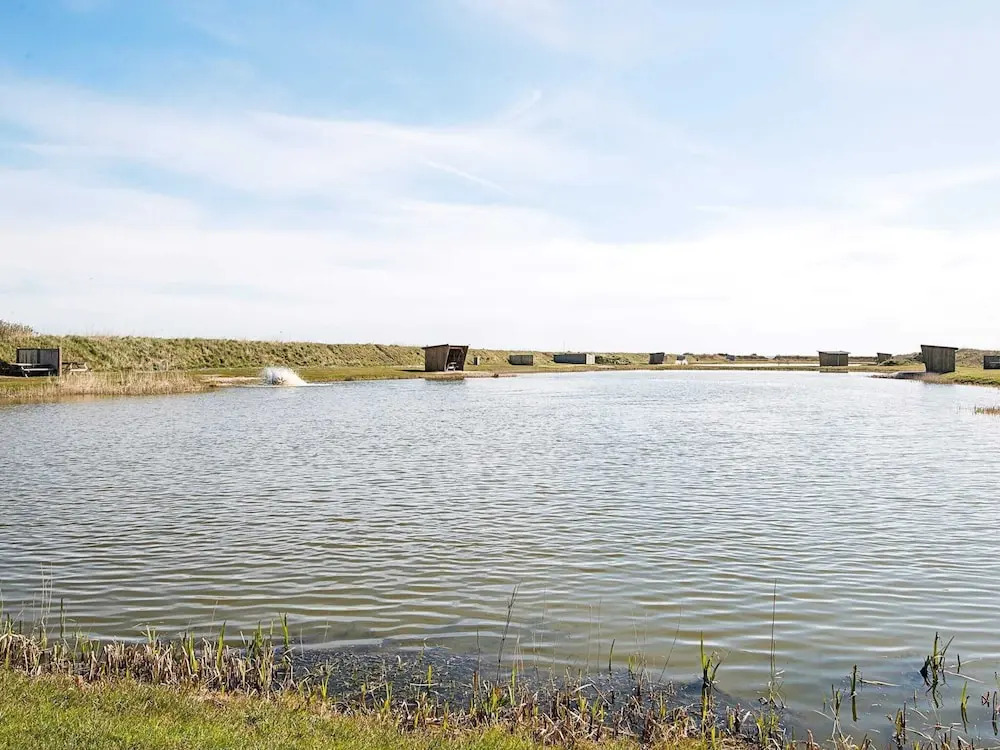 5 star holiday home in Ringkøbing