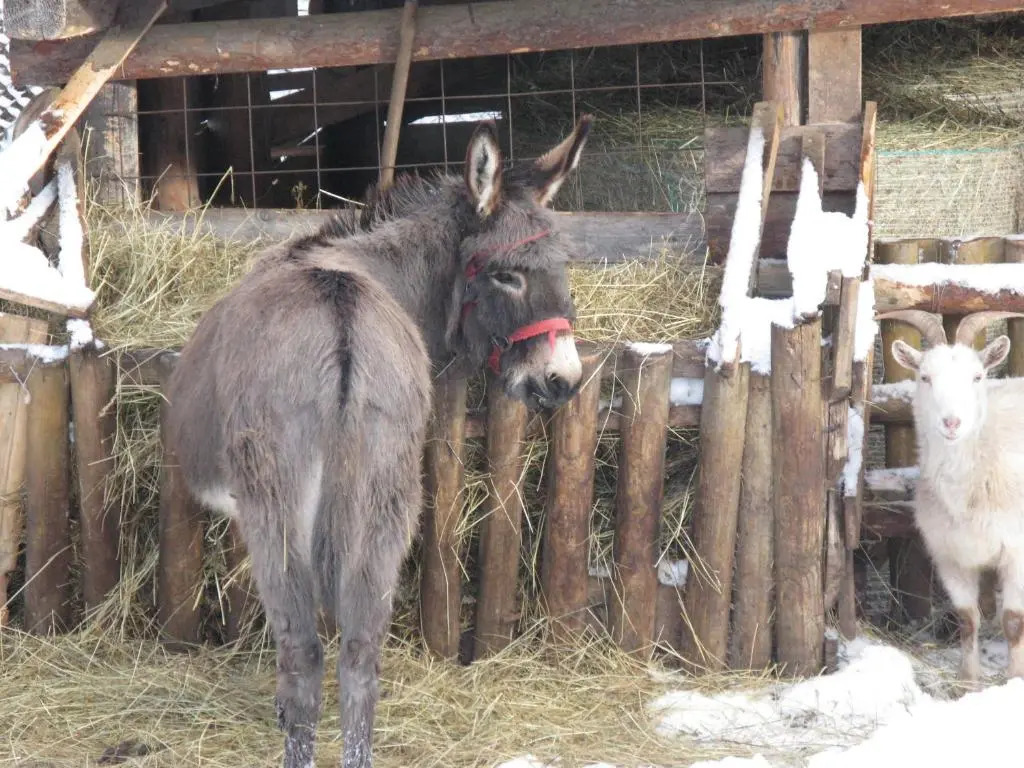 Roubenka rekreační středisko Vápenky