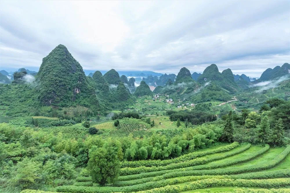 Misty Wonderland ,Yangshuo Xingping