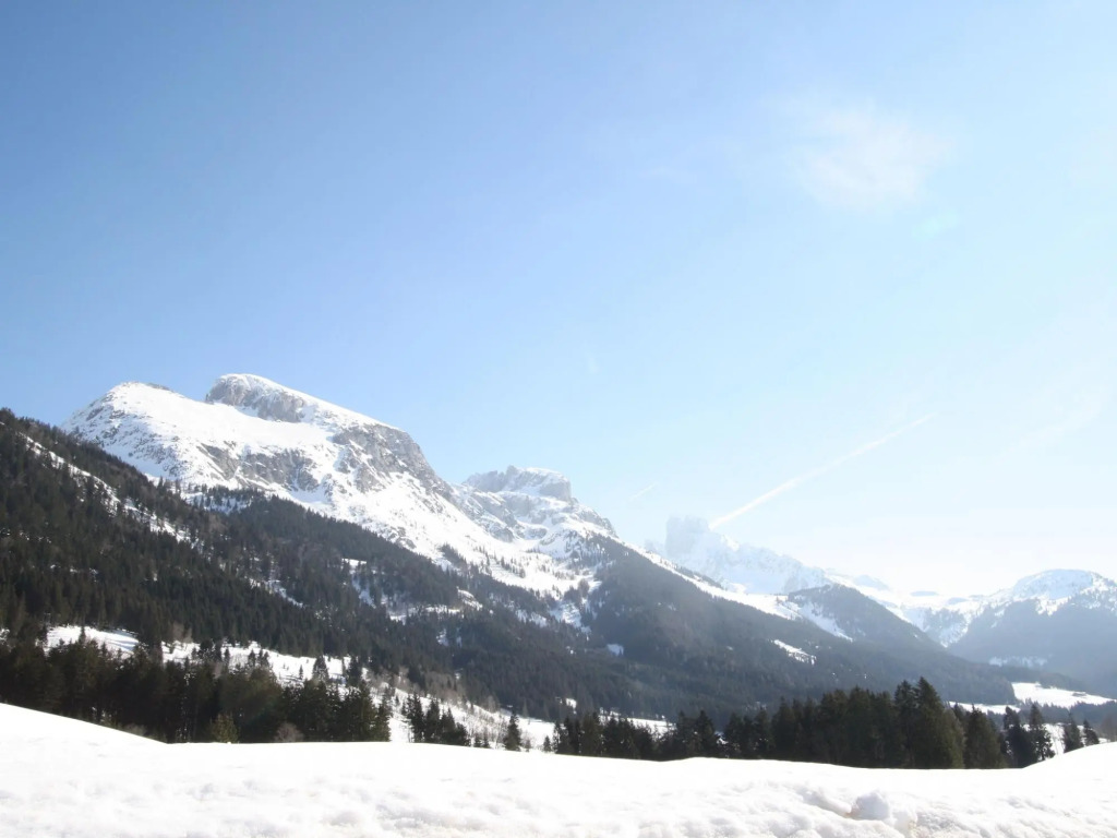 Apartment in Annaberg Near Dachstein Ski