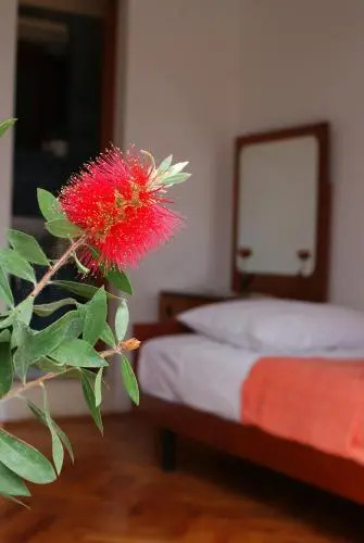 Korčula Guest House