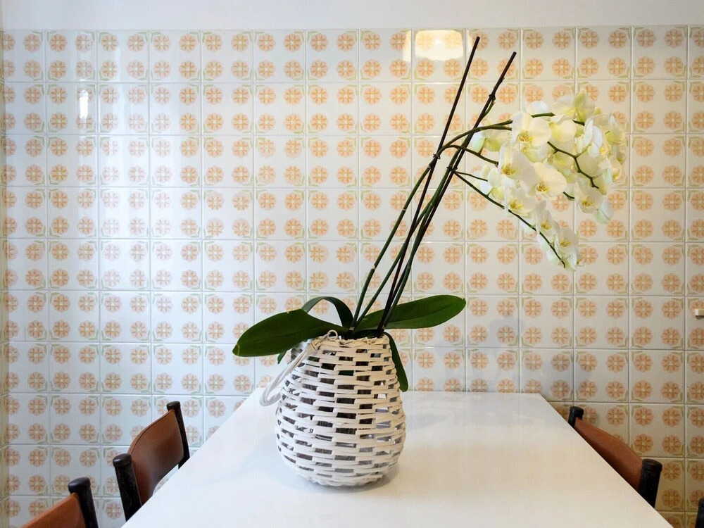 Apartement in Cattolica Near the Sea