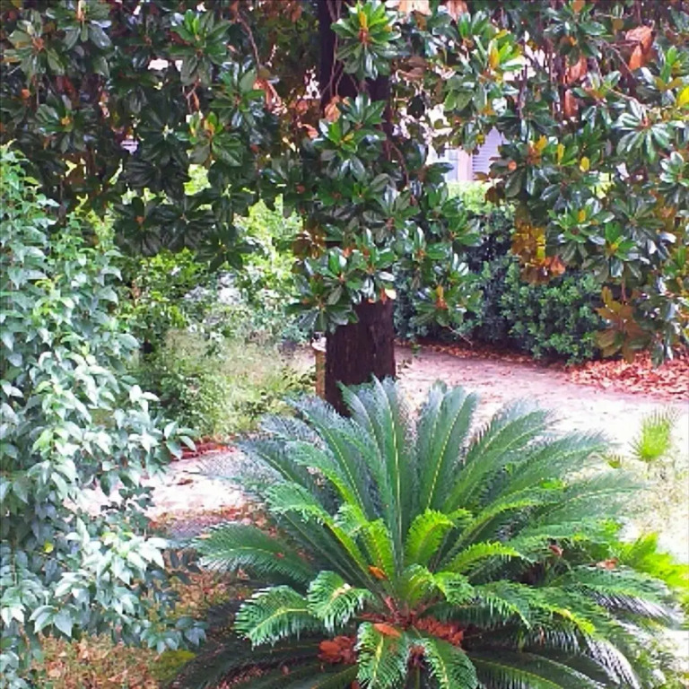 Un Giardino a Due Passi dal Mare