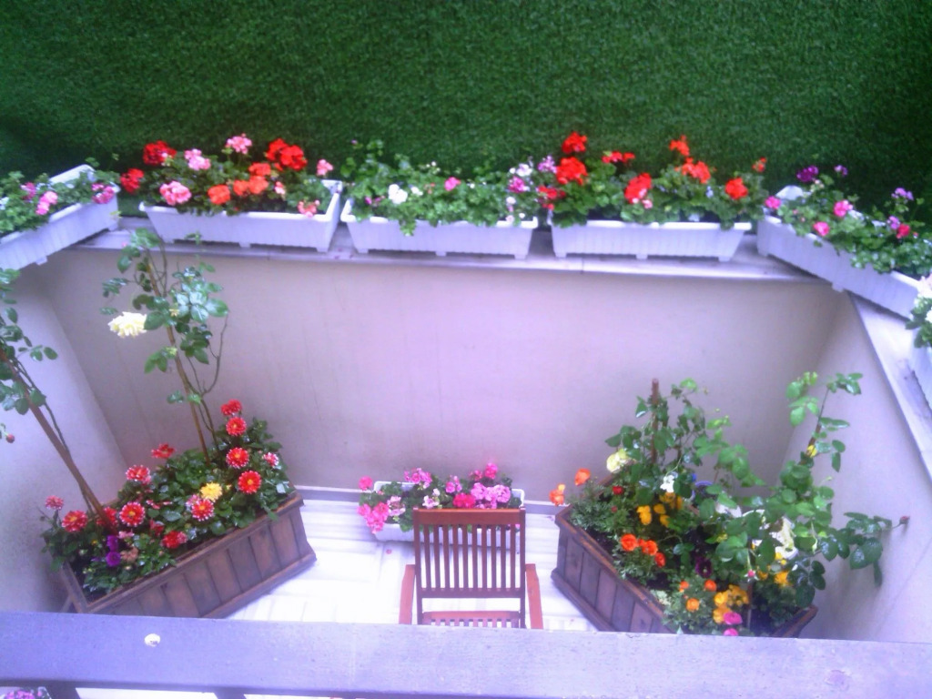 Calanthe Residence