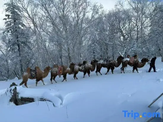 Yabuli Tingxue Xiaozhu Skiing Wenquan Villa