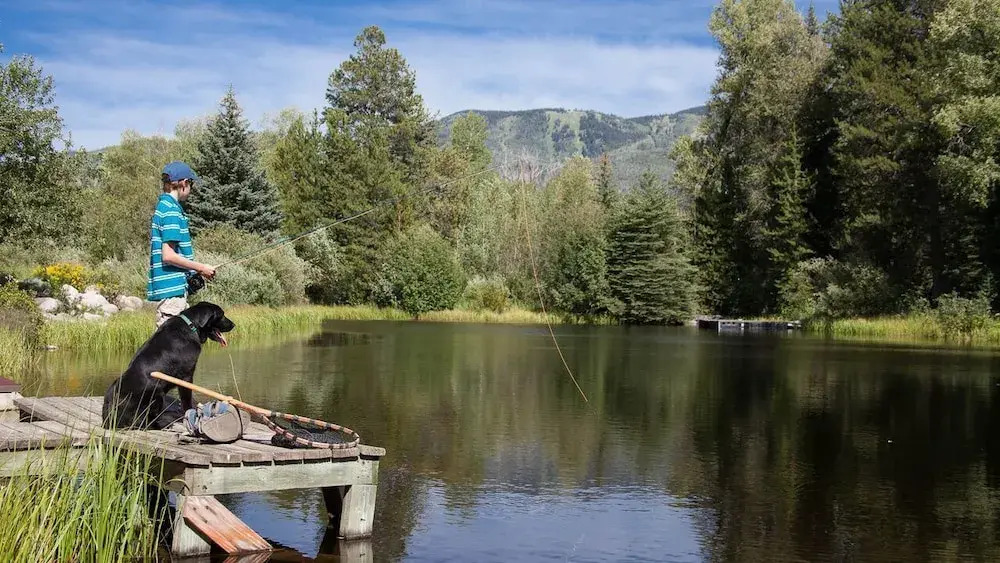 Anglers Cabin 4 BedroomHoliday home By Moving Mountains