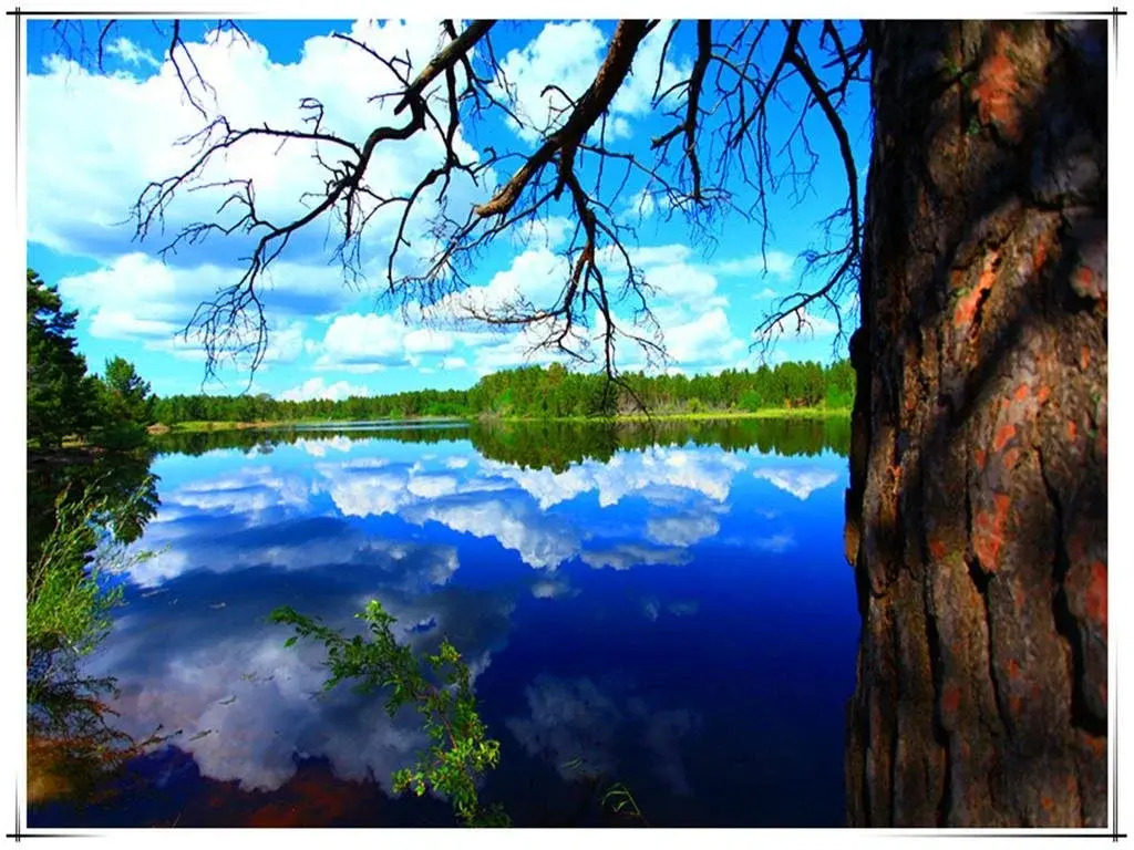 Connaught Dry Lake Tourist Resort