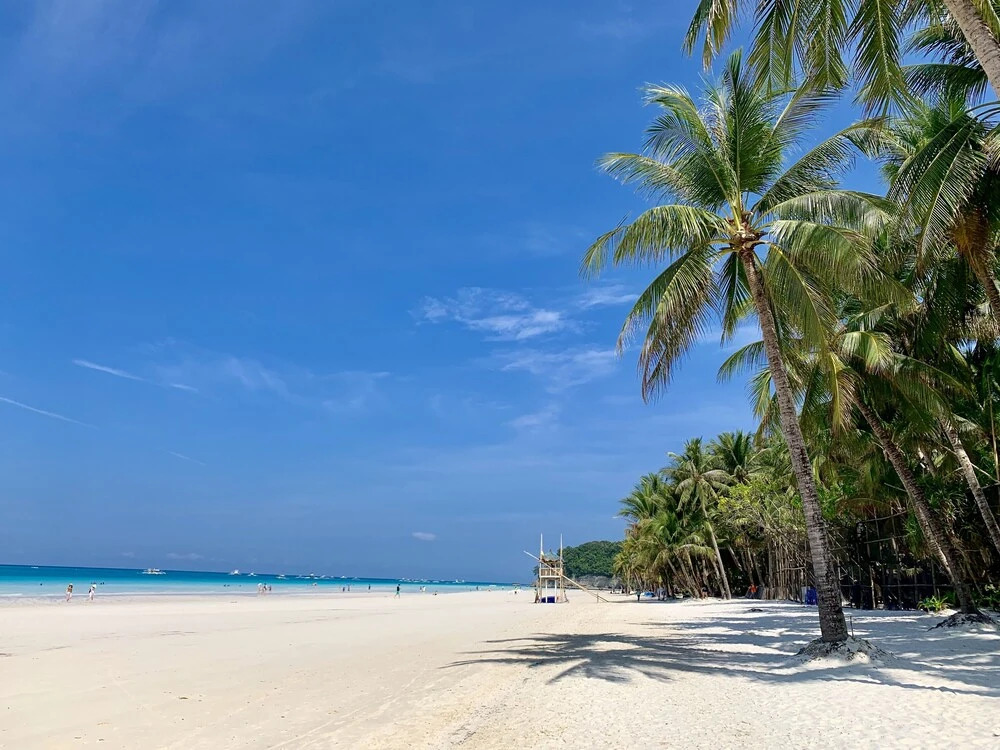 The Orchids Resort Boracay