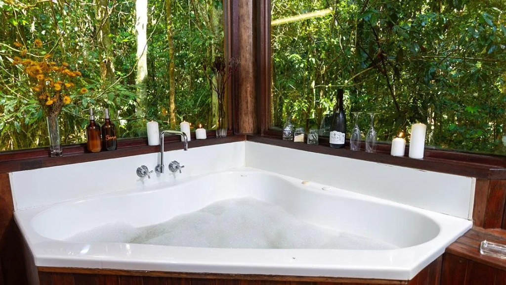 The Canopy Rainforest Treehouses & Wildlife Sanctuary