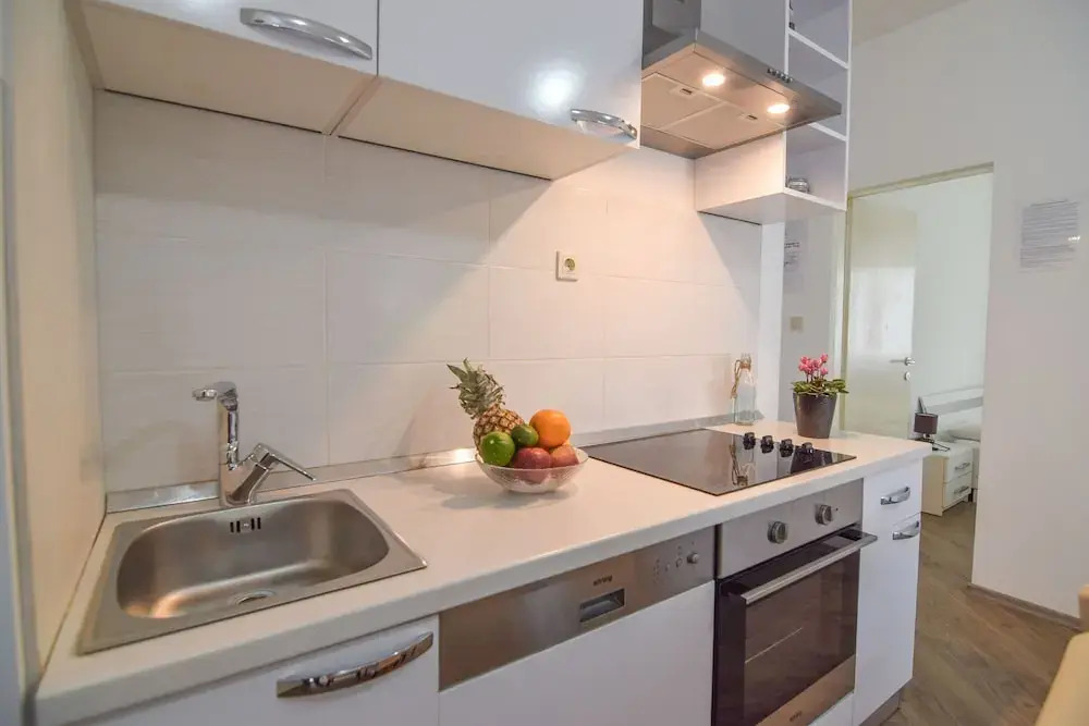 Apartment Pocrnja
