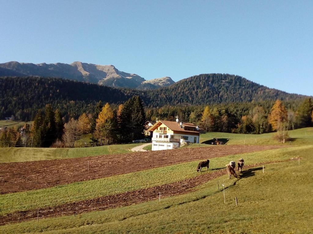 Brugghof Apartement Ulme