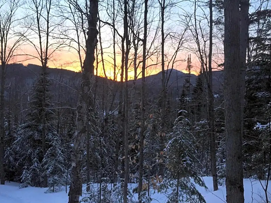 Loft Nature Laurentides