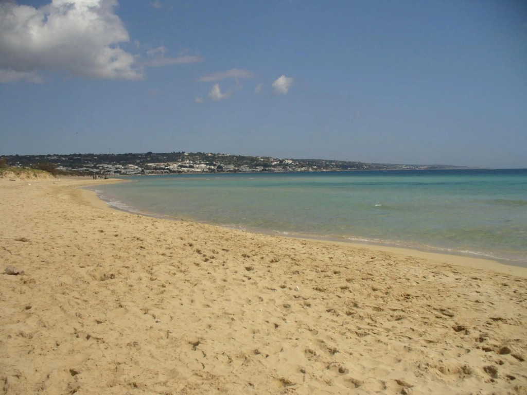 La Baronessa