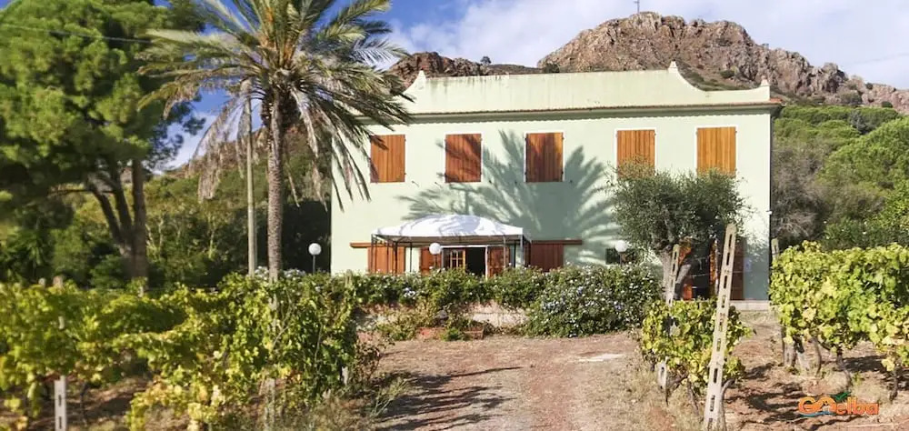 Villa Medina - Goelba