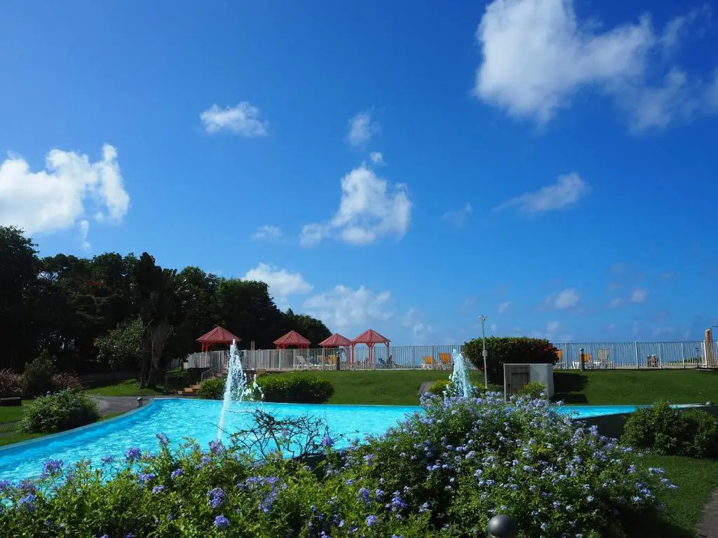 Le Flamboyant Tropical