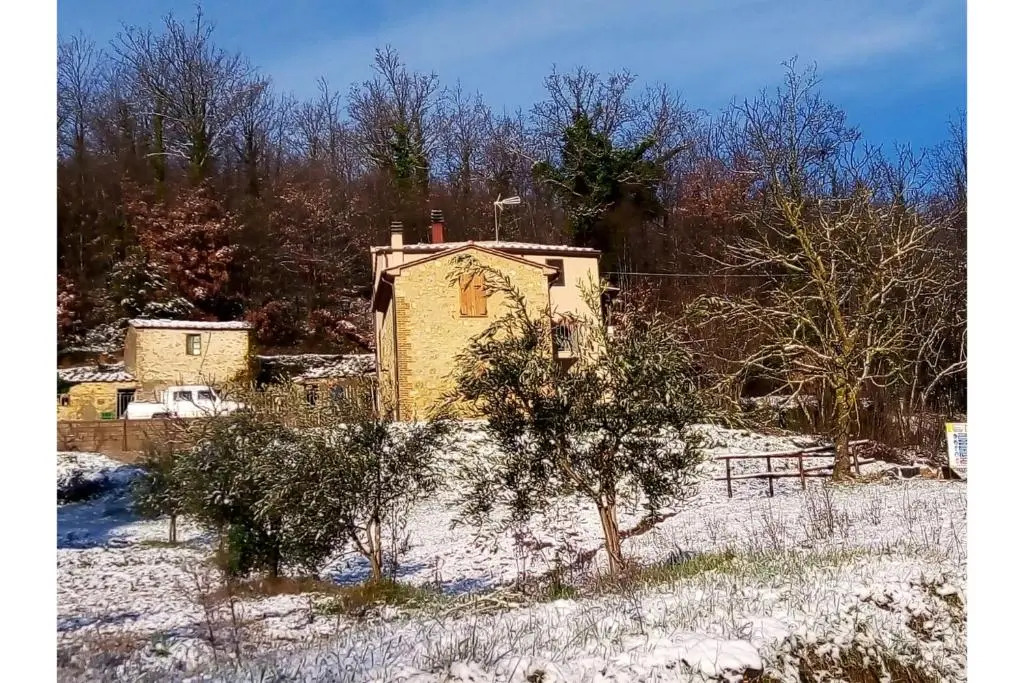 Podere del Ciacchi Among Tuscany Greenery