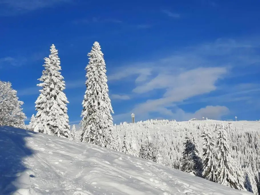 2-Zimmer Ferienwohnung-Einklang im schönen Südschwarzwald