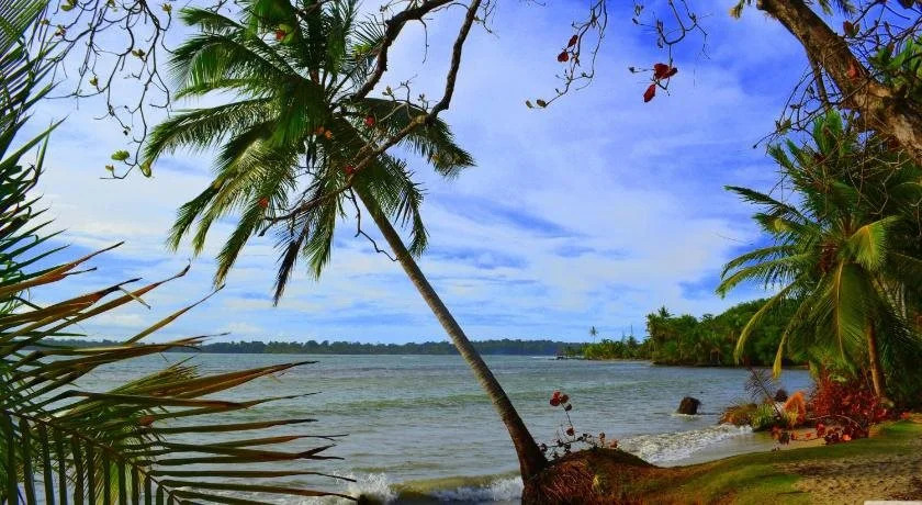 Bocas Reef Hotel