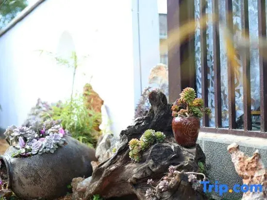 Staying and Forgotten Homestay