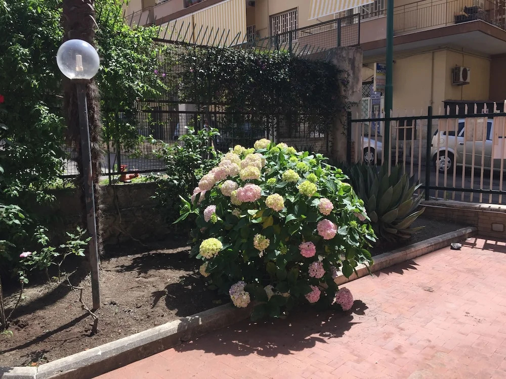 B&B Antea
