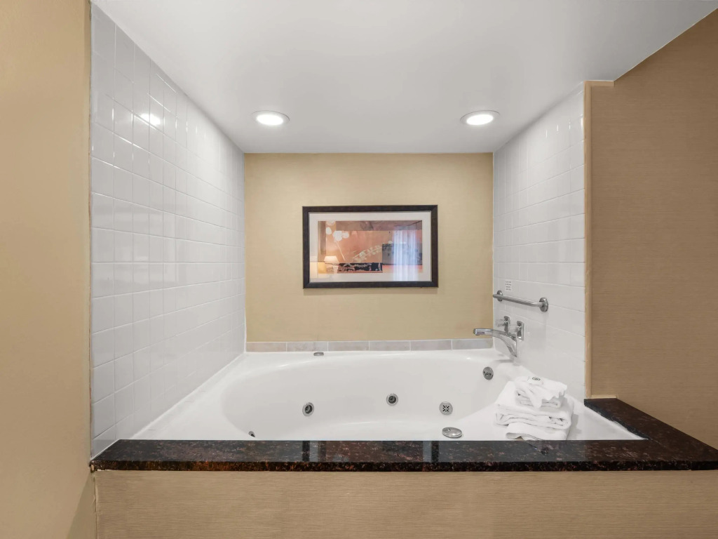 Comfort Inn Metro Airport