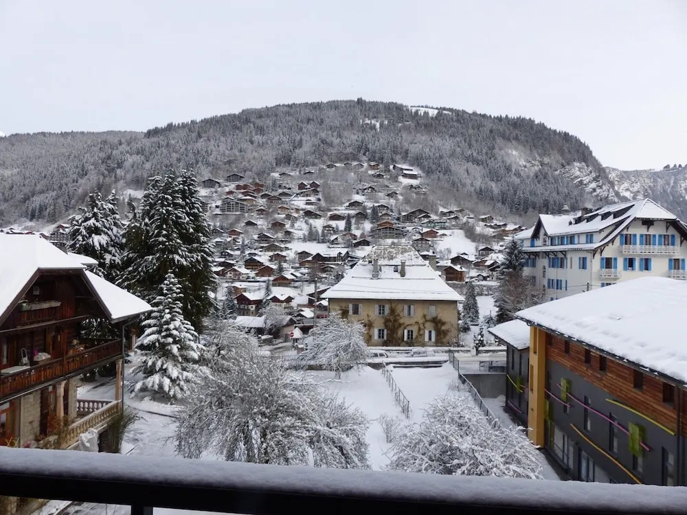 Joux Plane A 201