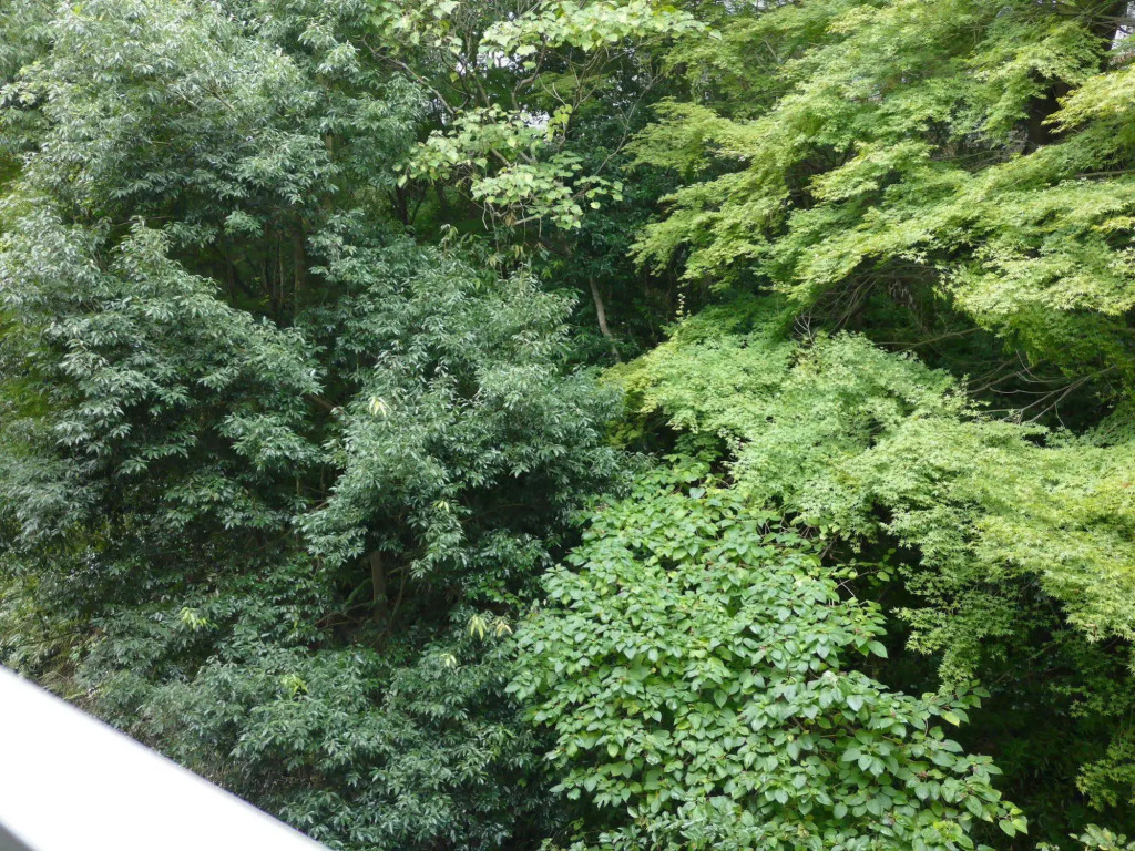 Koito Ryokan