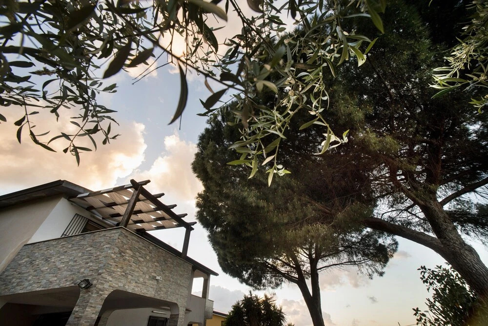 Villa dei Pini 7 posti vicino al mare