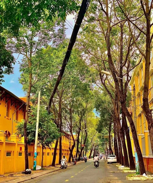 Adora Central Park hostel with rooftop and floating market tour