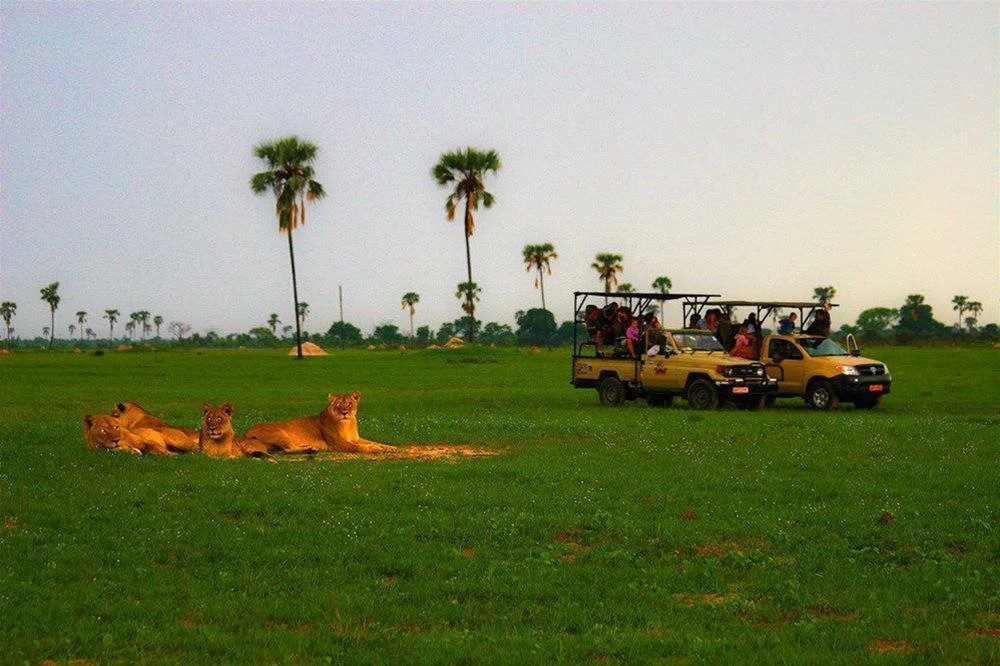 The Hide Safari Camp