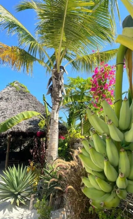 Sand Beach Boutique Hotel