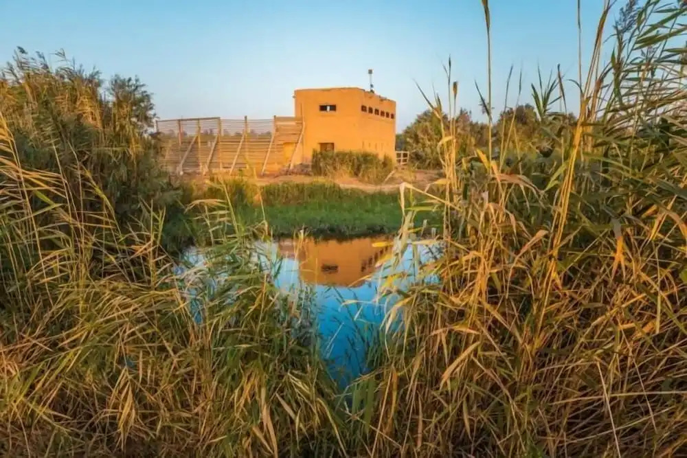 Azraq Lodge