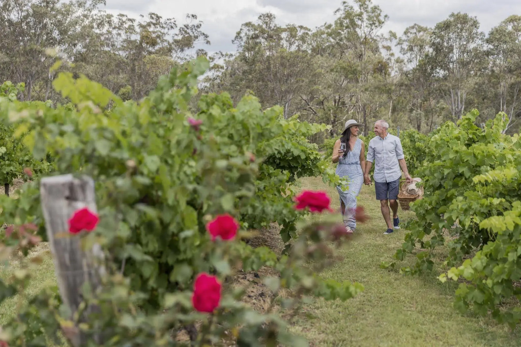 Spicers Vineyards Estate